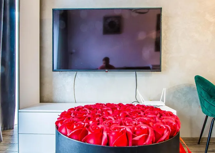 Apartment Luxury Mihai Bravu *